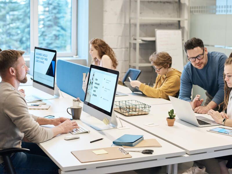 Web Development